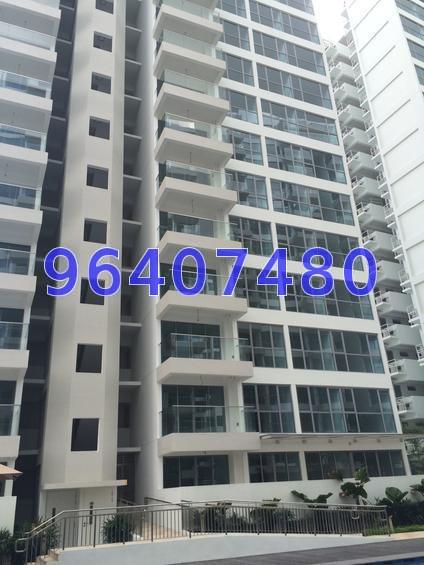 A Treasure Trove (D19), Condominium #73614642